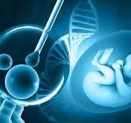 भारत का सबसे बड़ा IVF नेटवर्क बनने की तैयारी में येलो फर्टिलिटी